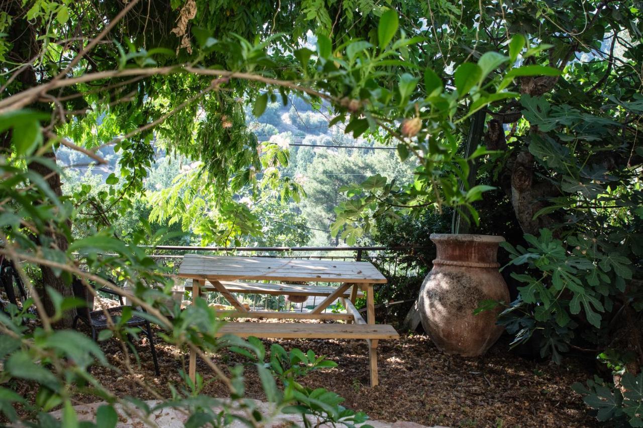 Harmony Inn Safed Exterior foto